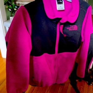 The north face fleece